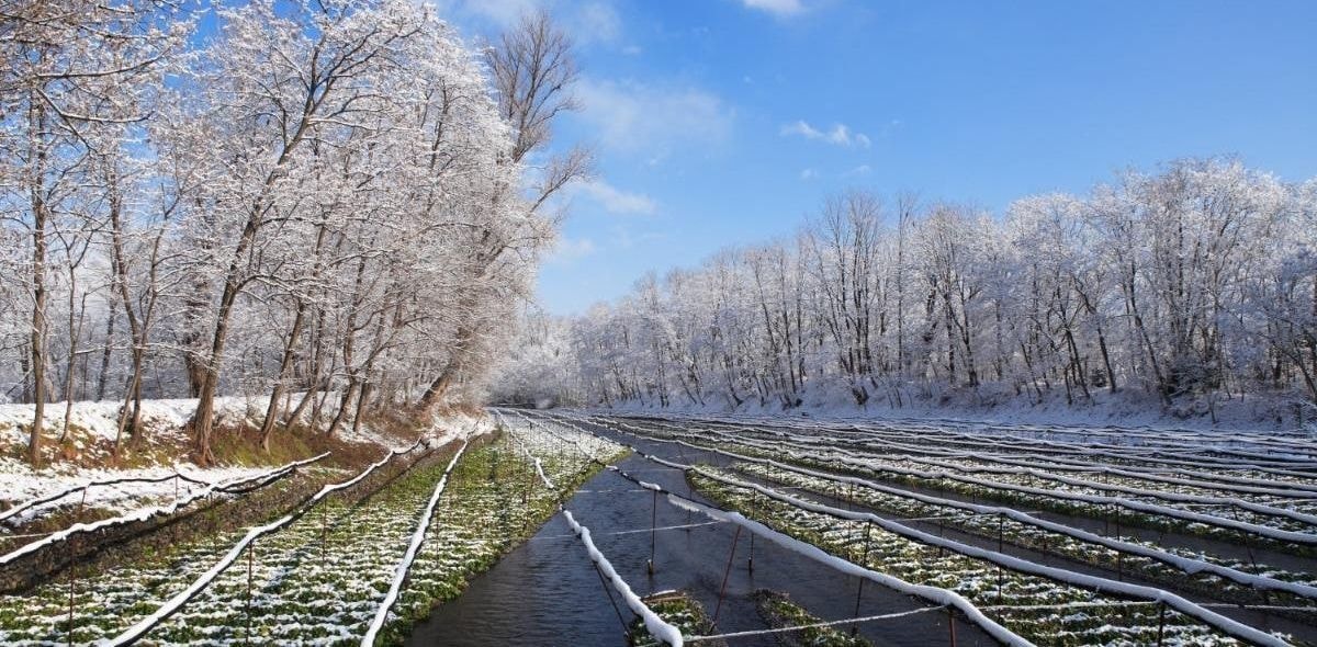 安曇野市にある消防設備・防災用品・建築業の会社、ミックのホームページです。